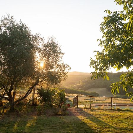 Agriturismo Le Tre Pietre - Podere Nel Chianti Quercegrossa Eksteriør bilde