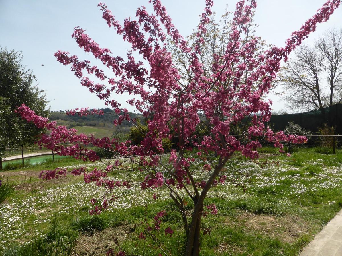 Agriturismo Le Tre Pietre - Podere Nel Chianti Quercegrossa Eksteriør bilde