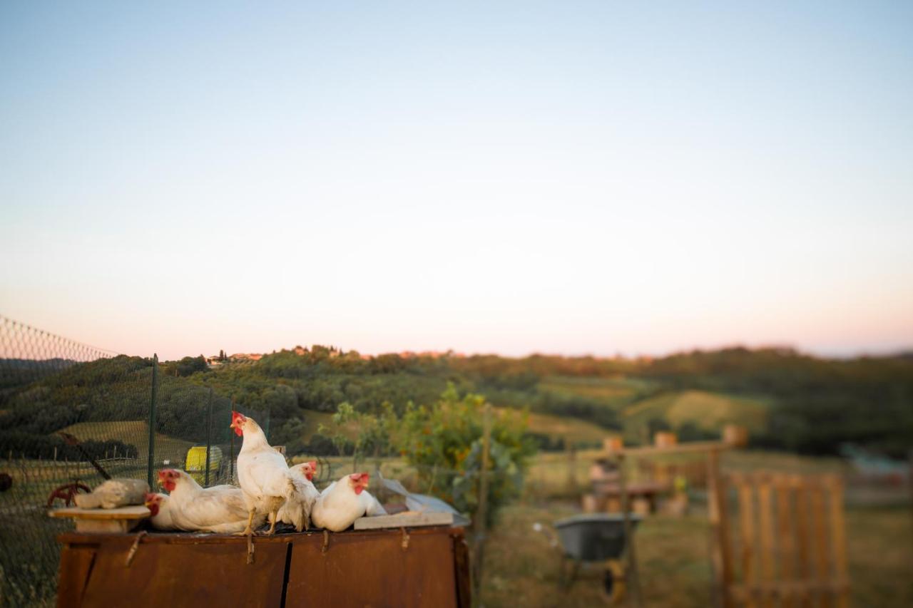 Agriturismo Le Tre Pietre - Podere Nel Chianti Quercegrossa Eksteriør bilde