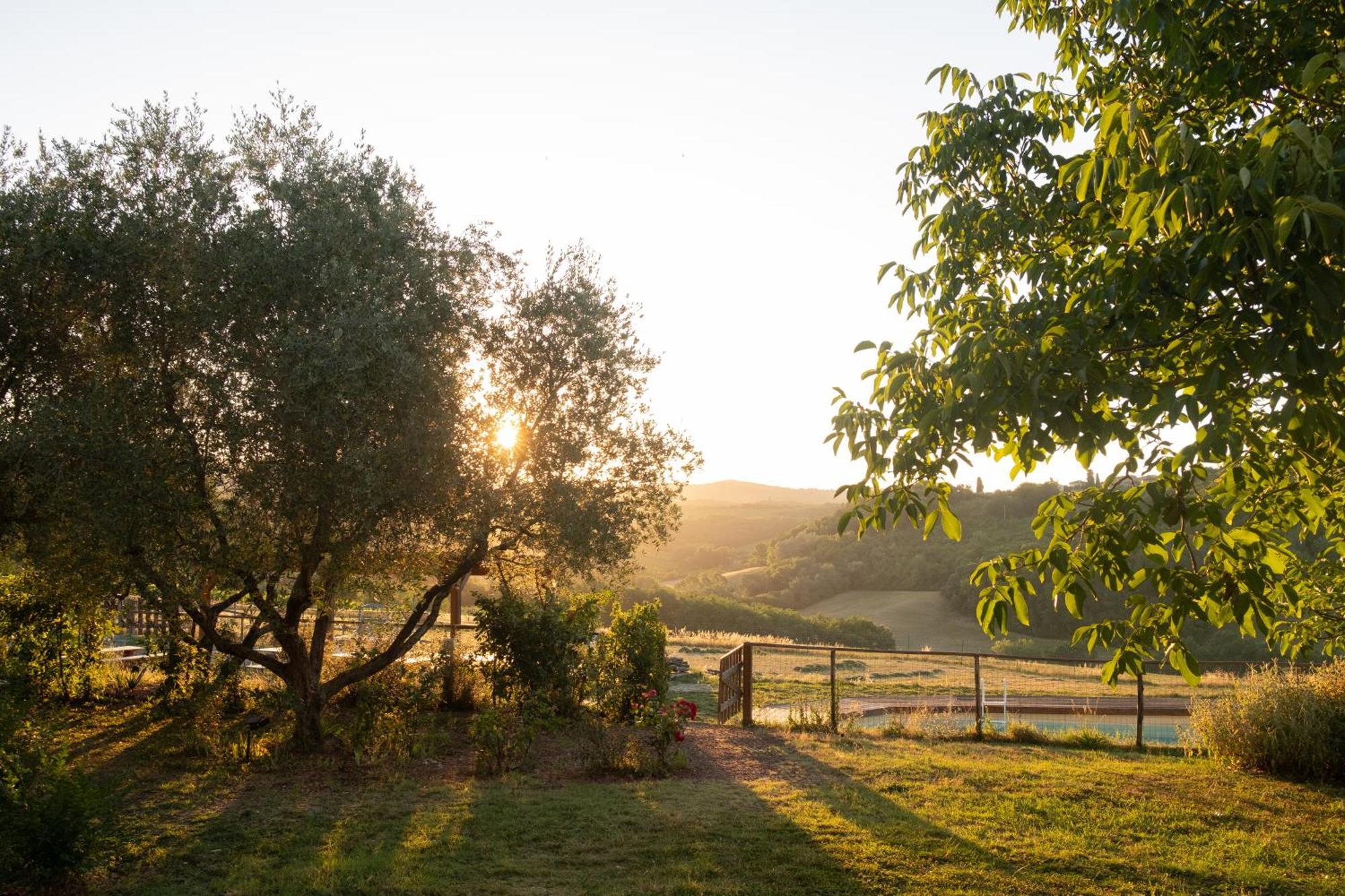 Agriturismo Le Tre Pietre - Podere Nel Chianti Quercegrossa Eksteriør bilde