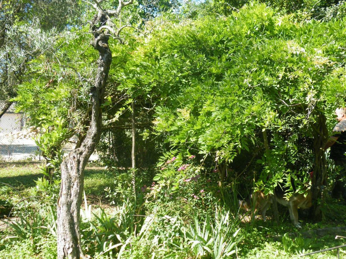 Agriturismo Le Tre Pietre - Podere Nel Chianti Quercegrossa Eksteriør bilde